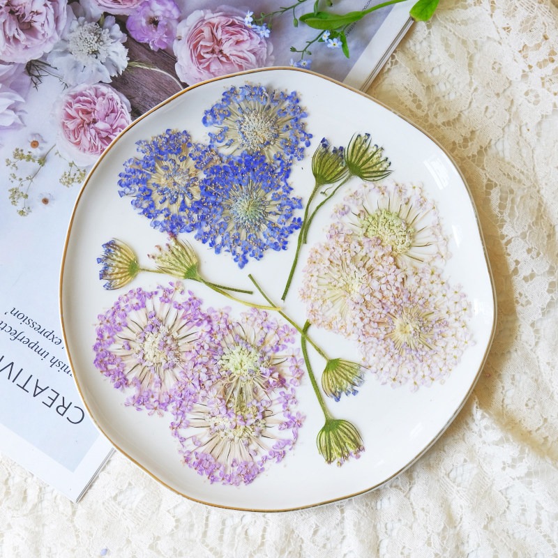 Dried Flower Bookmark - 12개의 압축 에메랄드 진주 꽃, DIY